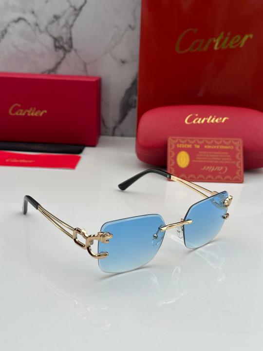 CARTIE_R SUNGLAS