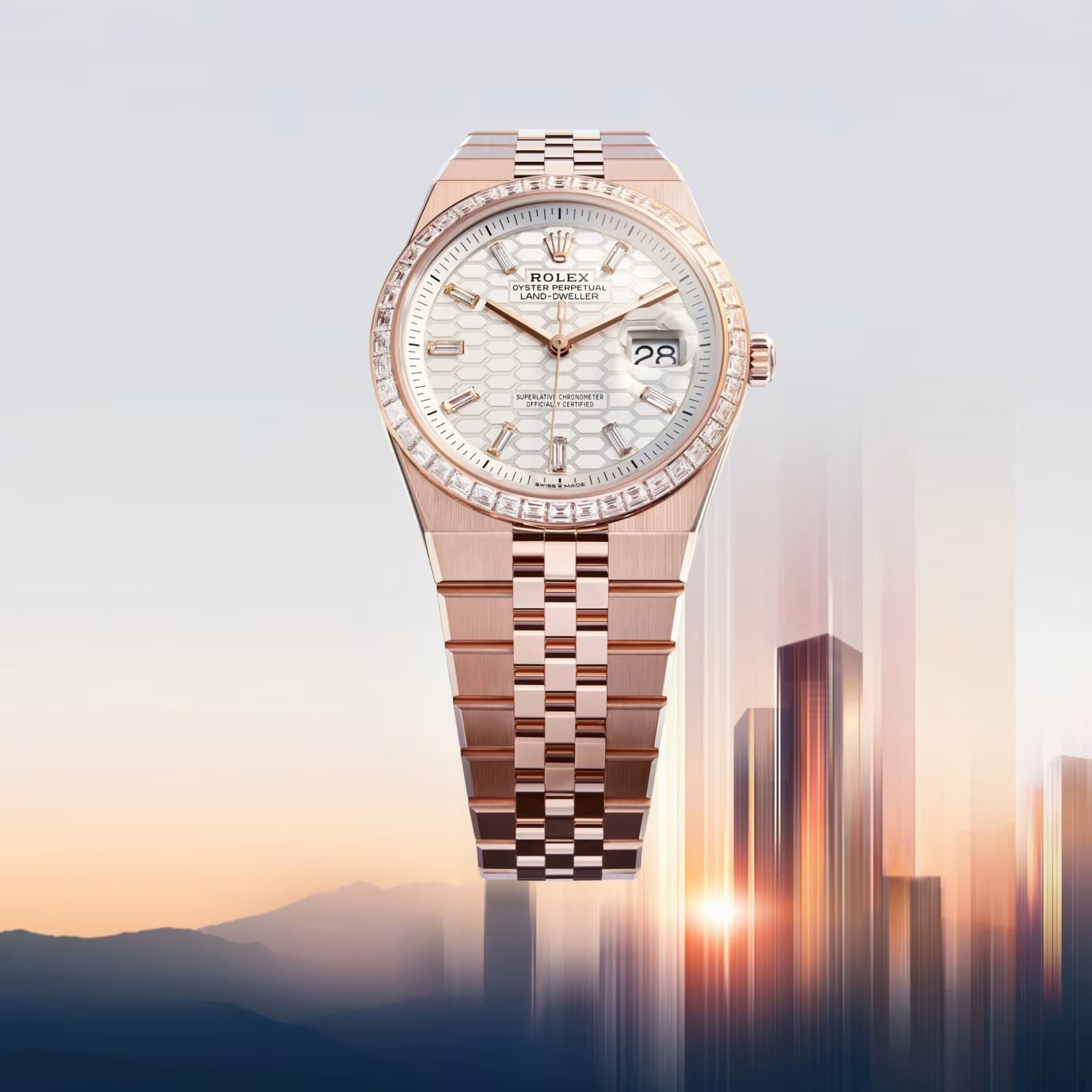 ROLE_X LAND DWELLER – 2025