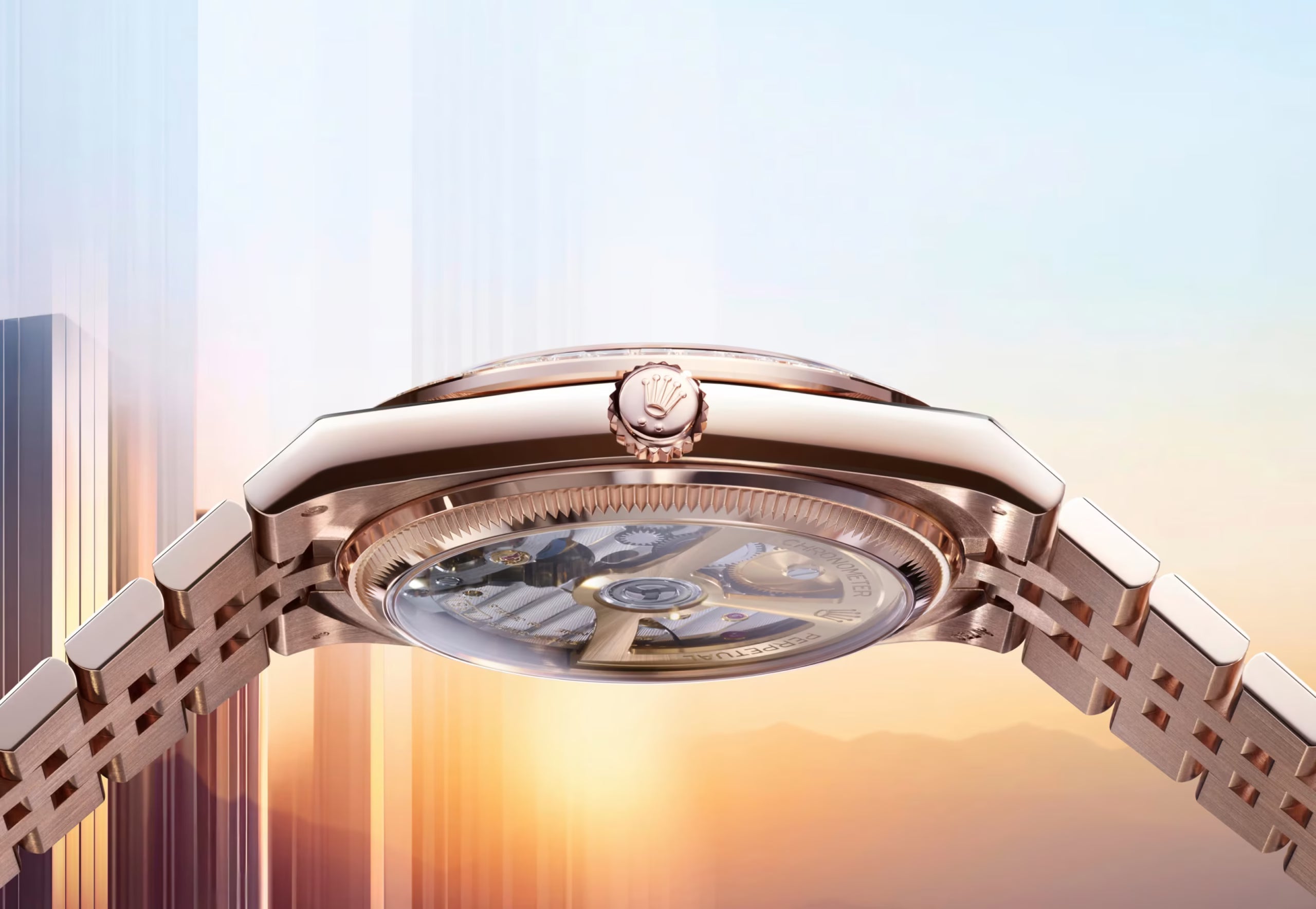 ROLE_X LAND DWELLER – 2025