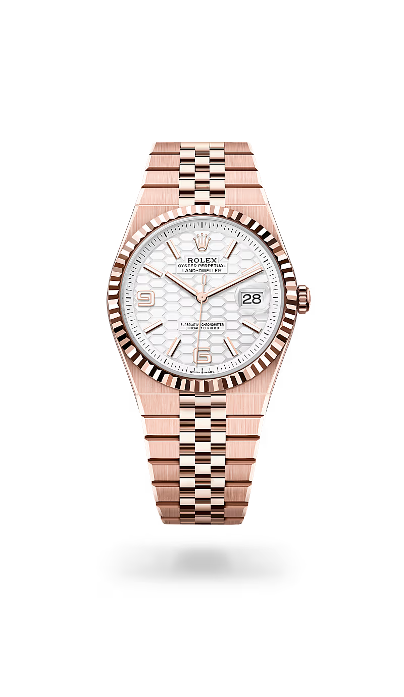 ROLE_X LAND DWELLER – 2025